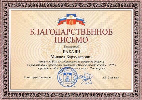 Благодарственное письмо